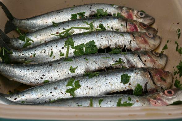 barbecued-sardines-raw