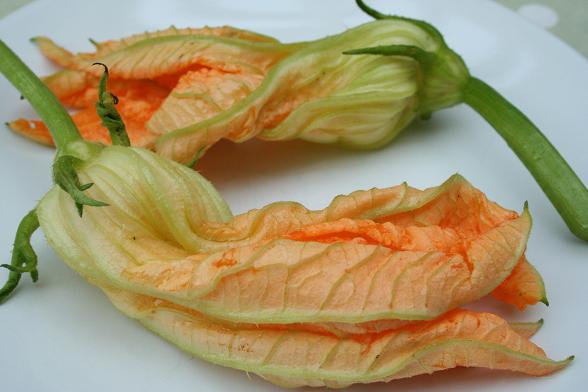 courgette-flowers