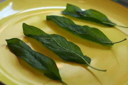 sage leaves feature