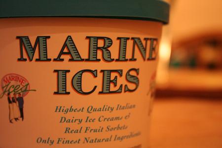marine_ices.JPG