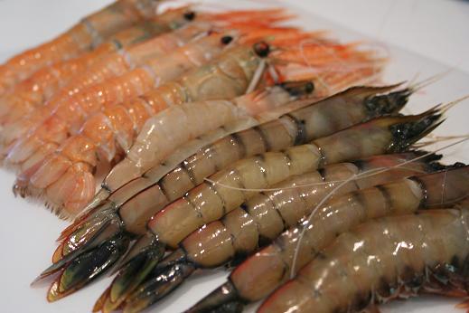 prawns_and_langoustines.JPG