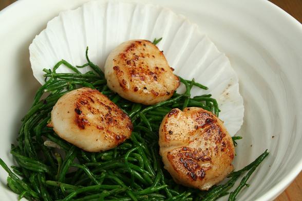 scallops-and-samphire