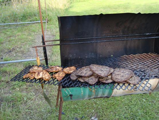 sweden-burgers-and-chicken