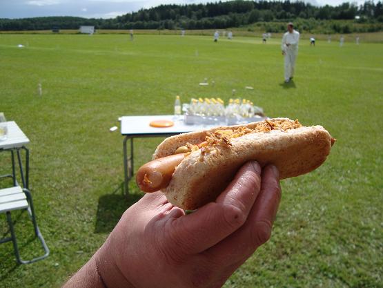 sweden-hot-dog